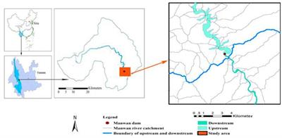 Multi-Scale Ecological Connectivity Dynamics Associated With Hydropower Station: A Case Study in the Lancang River Valley